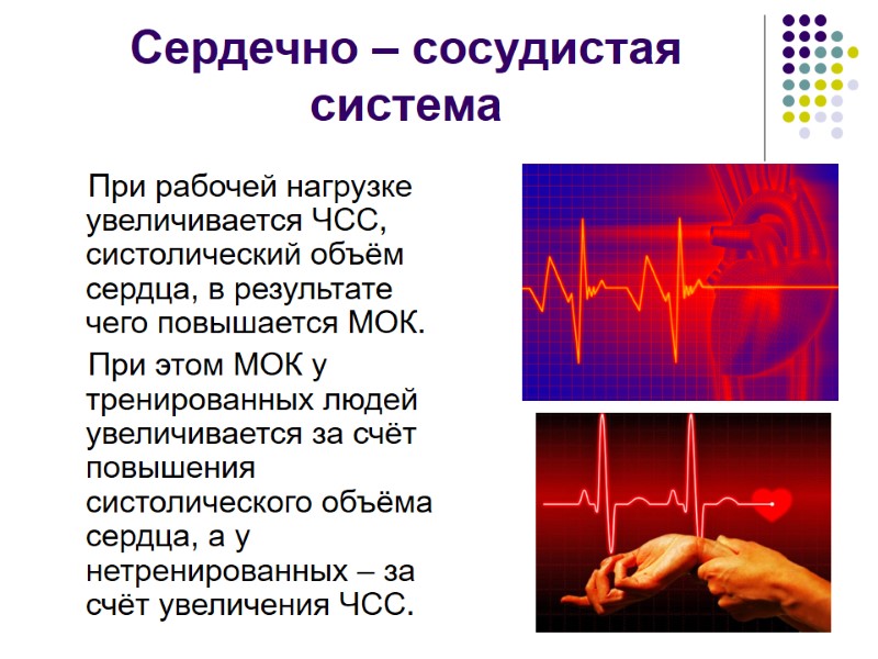Сердечно – сосудистая система     При рабочей нагрузке увеличивается ЧСС, систолический